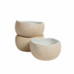 415041_gardentotable_bowls_3pack_01