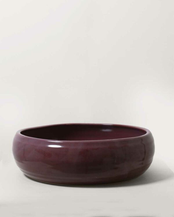 plum_salad-bowl